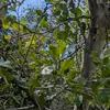 robertmaples865 - @robertmaples865 - TikTok