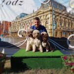 Robert Marciniak - @robert.marciniak.372 - Instagram