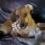 Robert Markle - @robert.markle.161 - Instagram