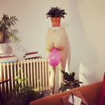 Robert Marks - @robertmarks8 - Instagram
