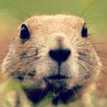 Robert marksberry - @marksberry123 - Instagram