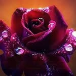 Marlette Robert - @marletterobert - Instagram