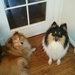 Robert Marr - @rmarr1958 - Instagram