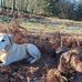 Robert Marrs - Facebook