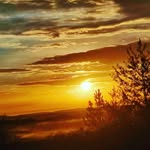 Robert Martire - @robertmartire - Instagram