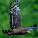 Robert Mairaka - Facebook