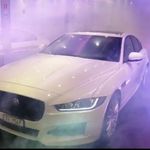Roberto Marzullo - @marzullo.robert - Instagram