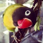 Robert - @masked_robert - Instagram