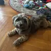 Robert Masters - @robert.masters - TikTok
