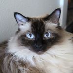 Robert Matlock - @robarron807 - Instagram