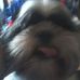 Robert Matoskey - Facebook