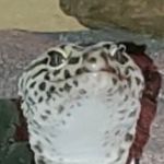 Dude - @robert_mattern1207 - Instagram