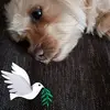 Robert Mattern618 - @robertmattern618 - TikTok