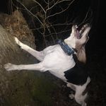 Robert - @robert_mattingly_1 - Instagram