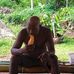 Robert Matura - Facebook