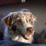 Robert Mavis - @autumnheeler - Instagram