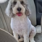 Robert Mawby - @robert.mawby.12 - Instagram