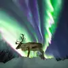 robertmawby436 - @robertmawby436 - TikTok