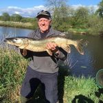 Robert Mawson - @rmawson - Instagram