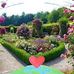 Robert Maxwell - Facebook