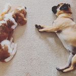 RobLou Maxwell - @robert_maxwell_ - Instagram