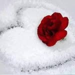 Robert Maye - @maye6273 - Instagram