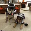 Robert Mayes02 - @robert.mayes021 - TikTok