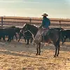 Robert Mayes593 - @robertmayes00 - TikTok