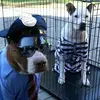 robert.mayes012 - @robert.mayes01 - TikTok
