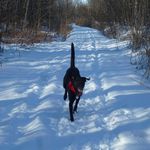 Robert Mayhew - @mayhew.robert - Instagram