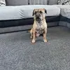 Robert Mcavoy - @robert.mcavoy - TikTok