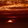 Robertmccall7 - @robertmccall7 - TikTok