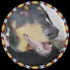 robertemccance - @robertemccance - TikTok