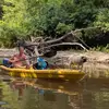 Robert_McCardle - @robert_mccardle - TikTok