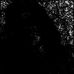 Robert Mccarthy - Facebook