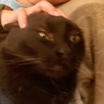Robert McCartney - @mccartney4351 - Instagram