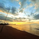 Robert Mccarty - @robertmccartyxlg12279 - Instagram