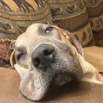 Robert McCarty - @robert.mccarty76 - Instagram