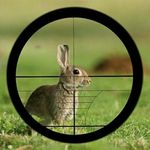 robert mccaw - @mccawrobert - Instagram