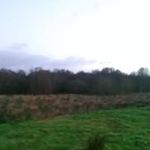 Robert Mccaw - @robert_mccaw_2 - Instagram