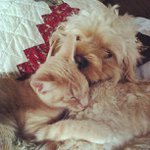Robert McCleskey - @santabtoris - Instagram