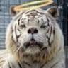 Robert McCloy - @robertmccloy - TikTok