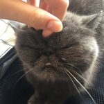 Robert Mark McCrone - @robert_mark_mccrone - Instagram
