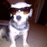 Robert McCrum - @mccrumrobert - Instagram