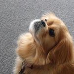 Robert Mc Elroy - @robert.mcelroy - Instagram