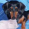 Robert McElroy - @robert.mcelroy63 - TikTok