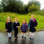 Robert Mcelroy - @mcelroy7888 - Instagram