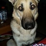 Robert McGeorge - @mcgeorge_robert - Instagram