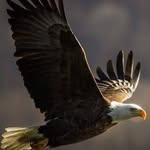 Robert Mcglothlin - @robert.mcglothlin.528 - Instagram