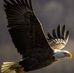 Robert Mcglothlin - Facebook